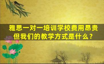 雅思一对一培训学校费用昂贵 但我们的教学方式是什么？